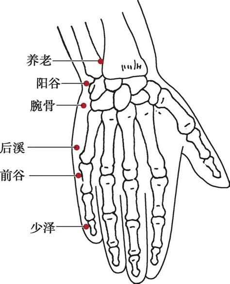 潛穴|潛穴